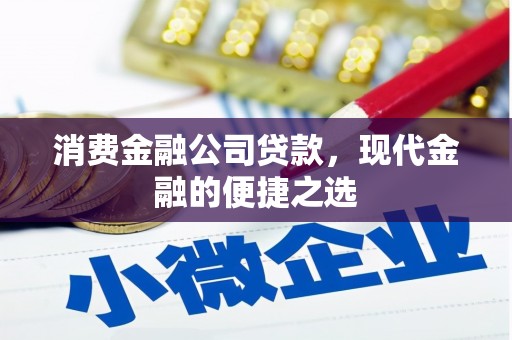 新营消费金融公司贷款，现代金融的便捷之选