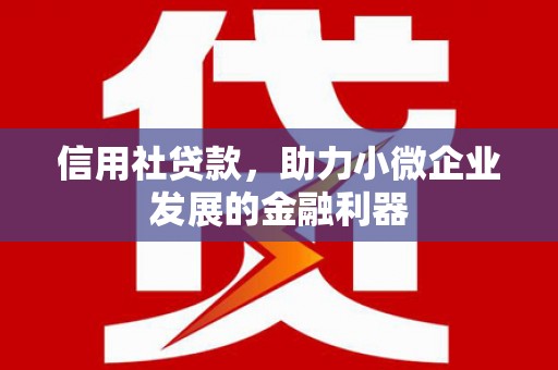 新营信用社贷款，助力小微企业发展的金融利器