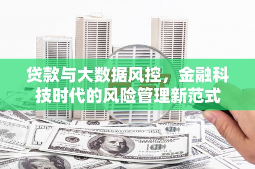 新营贷款与大数据风控，金融科技时代的风险管理新范式