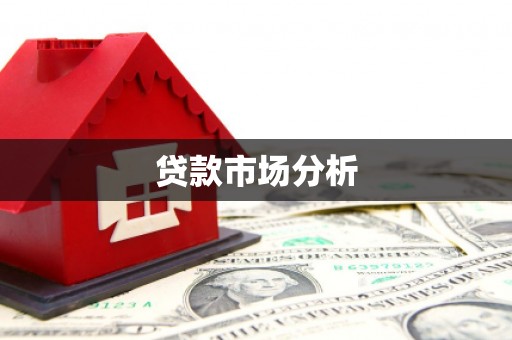 新营贷款市场分析