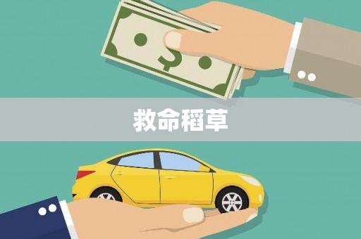 新营救命稻草