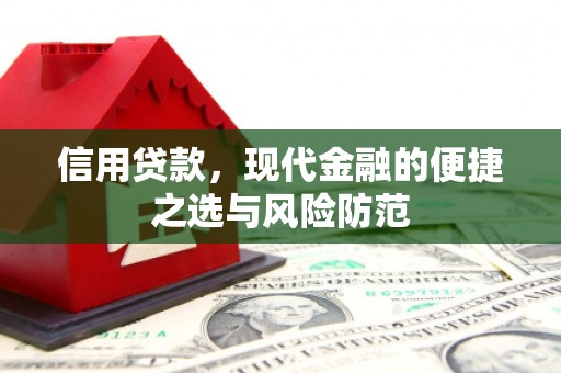 新营信用贷款，现代金融的便捷之选与风险防范