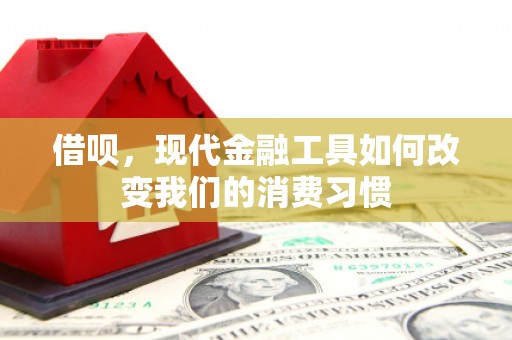 新营借呗，现代金融工具如何改变我们的消费习惯