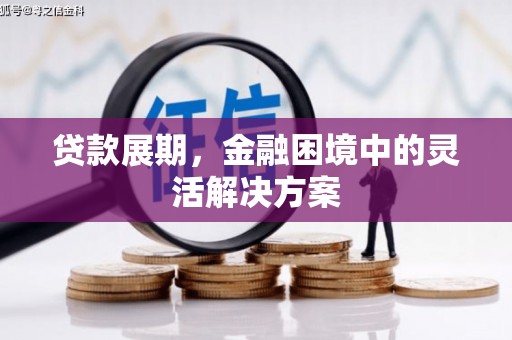 新营贷款展期，金融困境中的灵活解决方案
