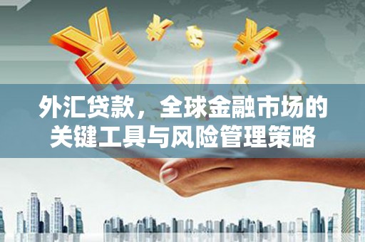 新营外汇贷款，全球金融市场的关键工具与风险管理策略