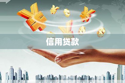 新营信用贷款