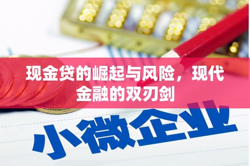新营现金贷的崛起与风险，现代金融的双刃剑