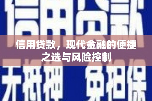 新营信用贷款，现代金融的便捷之选与风险控制