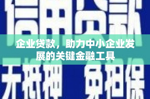 新营企业贷款，助力中小企业发展的关键金融工具