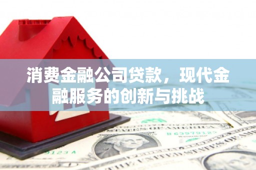 新营消费金融公司贷款，现代金融服务的创新与挑战