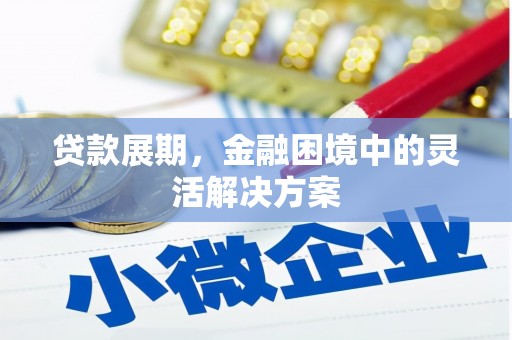 新营贷款展期，金融困境中的灵活解决方案