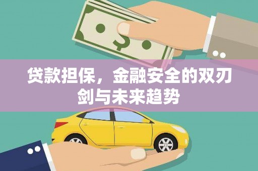 新营贷款担保，金融安全的双刃剑与未来趋势