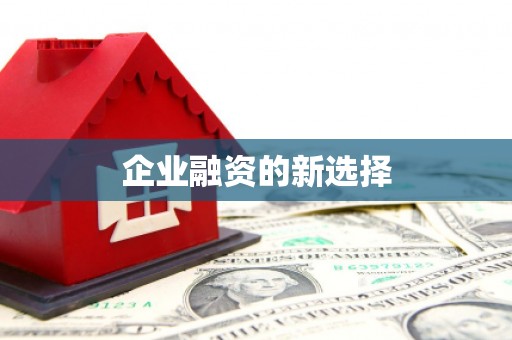 新营企业融资的新选择