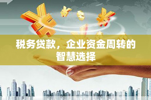 新营税务贷款，企业资金周转的智慧选择