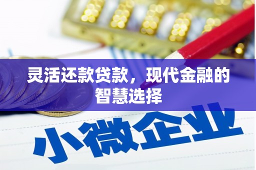 新营灵活还款贷款，现代金融的智慧选择