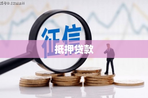 新营抵押贷款