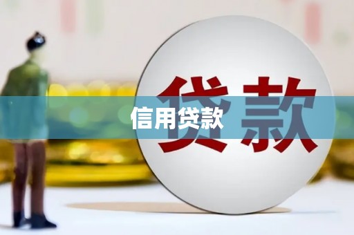 新营信用贷款