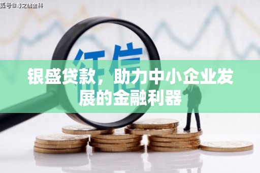 新营银盛贷款，助力中小企业发展的金融利器