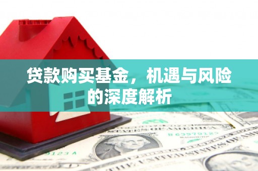 新营贷款购买基金，机遇与风险的深度解析