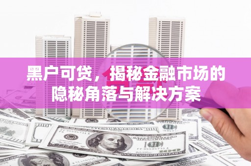 新营黑户可贷，揭秘金融市场的隐秘角落与解决方案