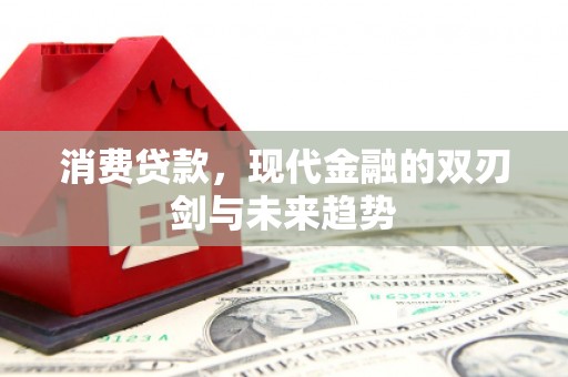 新营消费贷款，现代金融的双刃剑与未来趋势