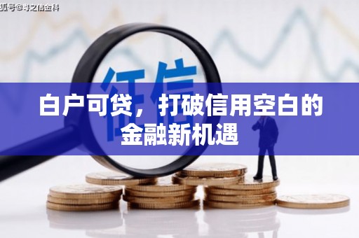 新营白户可贷，打破信用空白的金融新机遇