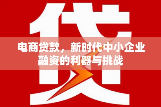 新营电商贷款，新时代中小企业融资的利器与挑战