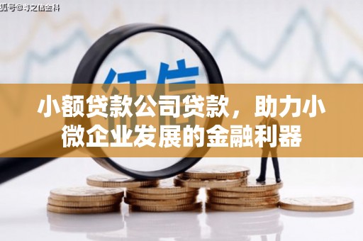 新营小额贷款公司贷款，助力小微企业发展的金融利器
