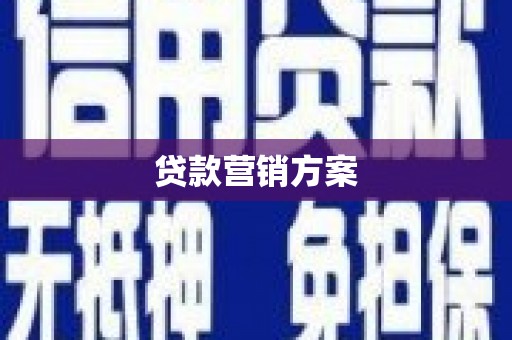 新营贷款营销方案