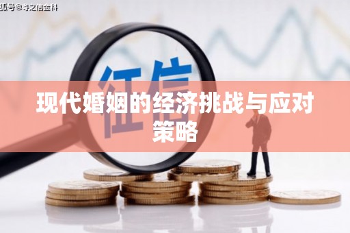 新营现代婚姻的经济挑战与应对策略