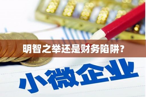 新营明智之举还是财务陷阱？