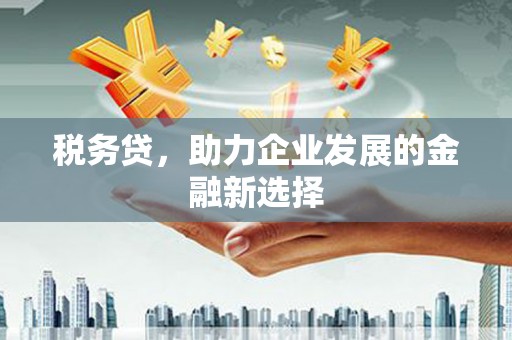 新营税务贷，助力企业发展的金融新选择