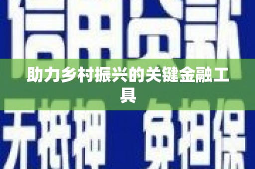 新营助力乡村振兴的关键金融工具