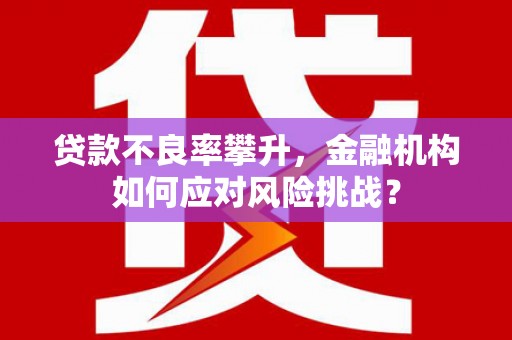 新营贷款不良率攀升，金融机构如何应对风险挑战？