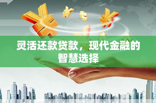 新营灵活还款贷款，现代金融的智慧选择