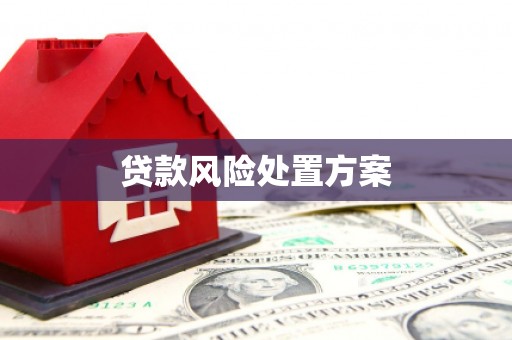 新营贷款风险处置方案