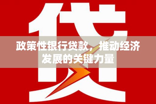 新营政策性银行贷款，推动经济发展的关键力量