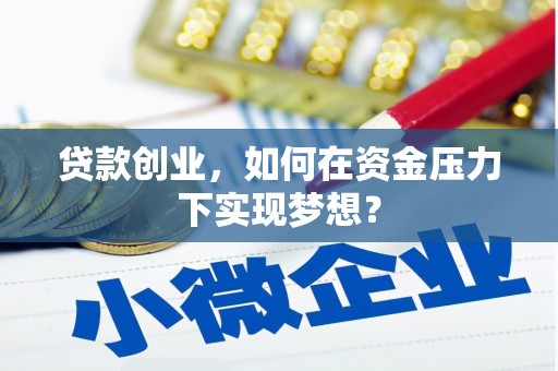 新营贷款创业，如何在资金压力下实现梦想？
