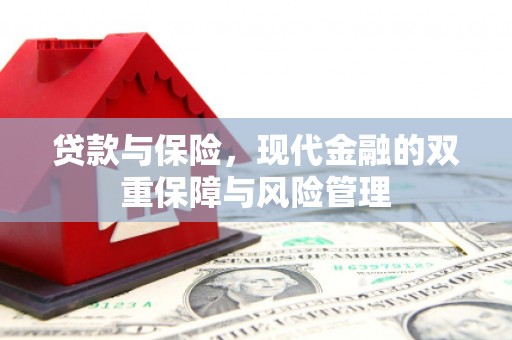新营贷款与保险，现代金融的双重保障与风险管理