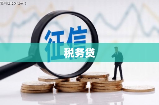 新营税务贷