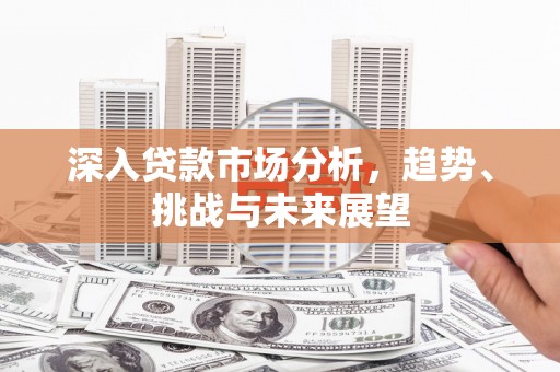 新营深入贷款市场分析，趋势、挑战与未来展望