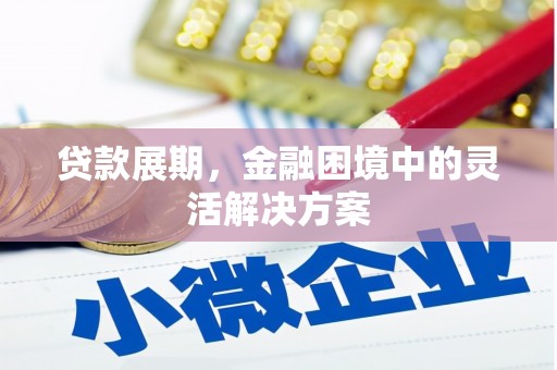 新营贷款展期，金融困境中的灵活解决方案