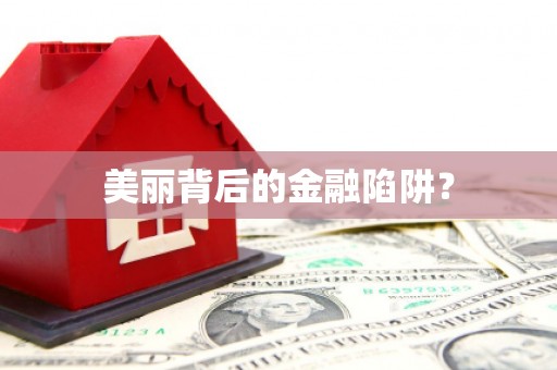 新营美丽背后的金融陷阱？