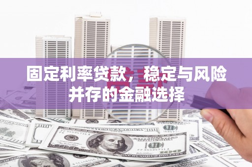 新营固定利率贷款，稳定与风险并存的金融选择