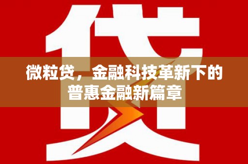 新营微粒贷，金融科技革新下的普惠金融新篇章
