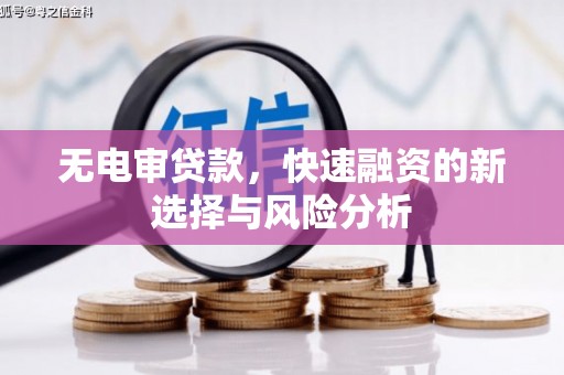 新营无电审贷款，快速融资的新选择与风险分析