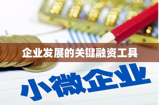 新营企业发展的关键融资工具