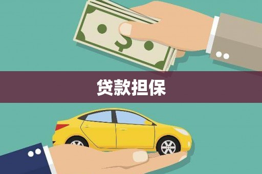 新营贷款担保