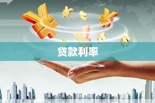 新营贷款利率