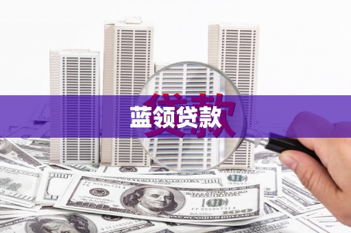 新营蓝领贷款
